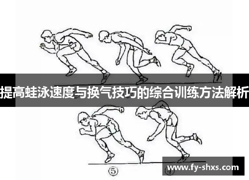 提高蛙泳速度与换气技巧的综合训练方法解析