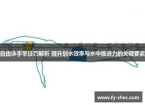 自由泳手掌技巧解析 提升划水效率与水中推进力的关键要素
