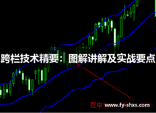 跨栏技术精要：图解讲解及实战要点